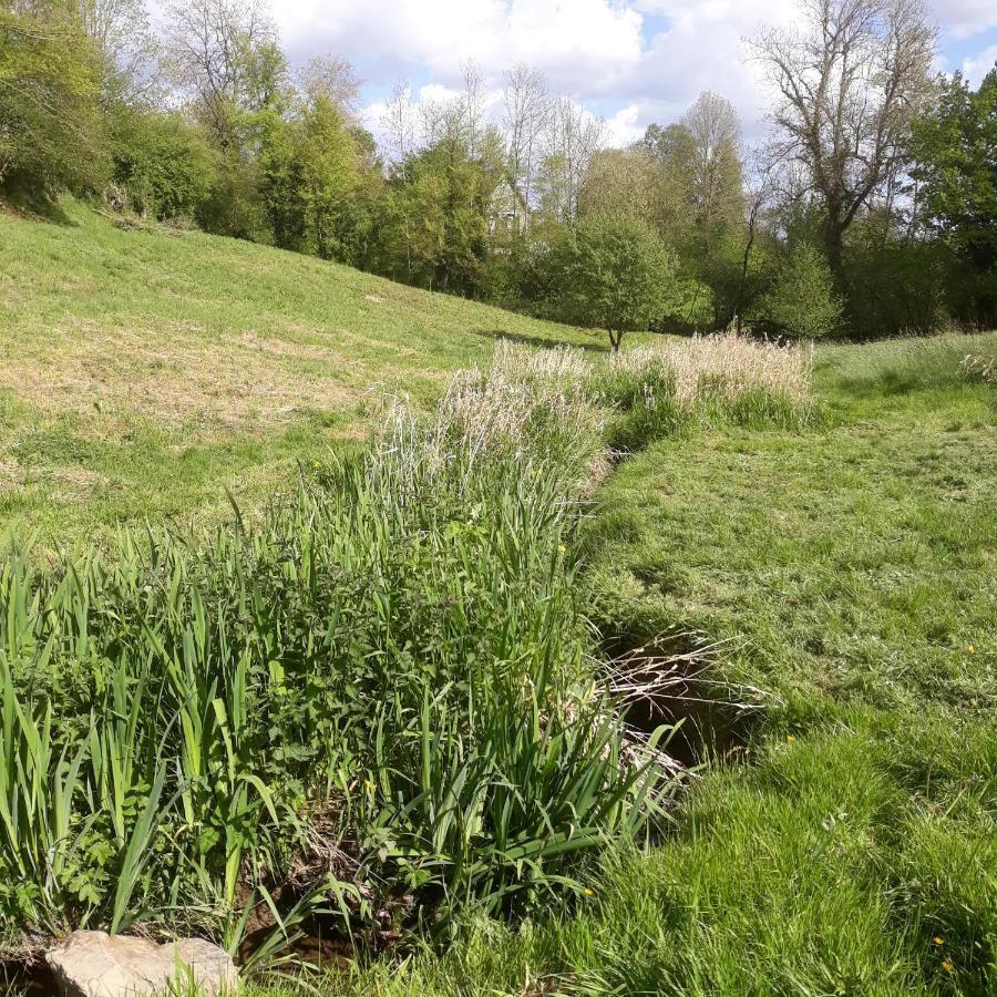 Villedieu-les-Poëles Gites Nature & Espace - Le Puits Des Souhaits מראה חיצוני תמונה